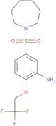 5-(Azepane-1-sulfonyl)-2-(2,2,2-trifluoroethoxy)aniline