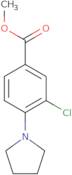 Methyl 3-chloro-4-(1-pyrrolidinyl)benzoate