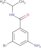 3-Amino-5-bromo-N-isopropylbenzamide