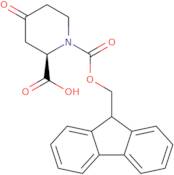 (2R)-1-(9H-Fluoren-9-ylmethoxycarbonyl)-4-oxo-piperidine-2-carboxylic acid