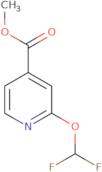 2-Difluoromethoxy-isonicotinic acid methyl ester