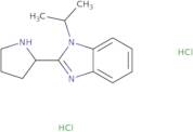 1-(Propan-2-yl)-2-(pyrrolidin-2-yl)-1H-1,3-benzodiazole dihydrochloride