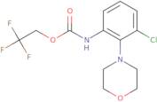 2,2,2-Trifluoroethyl N-[3-chloro-2-(morpholin-4-yl)phenyl]carbamate