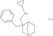 N-({2-Benzylbicyclo[2.2.1]heptan-2-yl}methyl)cyclopropanamine hydrochloride
