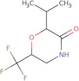 2-(Propan-2-yl)-6-(trifluoromethyl)morpholin-3-one