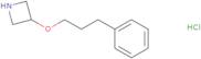 3-(3-Phenylpropoxy)azetidine hydrochloride