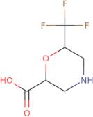 6-(Trifluoromethyl)morpholine-2-carboxylic acid