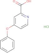 4-Phenoxypyridine-2-carboxylic acid hydrochloride