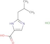 2-(2-Methylpropyl)-1H-imidazole-4-carboxylic acid hydrochloride
