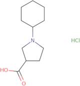 1-Cyclohexylpyrrolidine-3-carboxylic acid hydrochloride