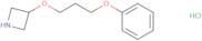 3-(3-Phenoxypropoxy)azetidine hydrochloride