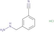3-(Hydrazinylmethyl)benzonitrile hydrochloride