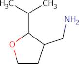 [2-(Propan-2-yl)oxolan-3-yl]methanamine