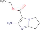 Ethyl 2-amino-5H,6H,7H-pyrrolo[1,2-a]imidazole-3-carboxylate