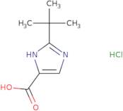 2-tert-Butyl-1H-imidazole-4-carboxylic acid hydrochloride