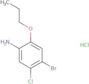 4-Bromo-5-chloro-2-propoxyaniline HCl