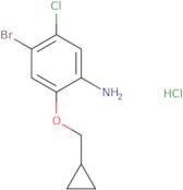 4-Bromo-5-chloro-2-(cyclopropylmethoxy)aniline HCl