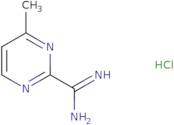 4-methylpyrimidine-2-carboxamidine hydrochloride