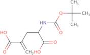 Boc-γ-methylene-DL-glutamic acid