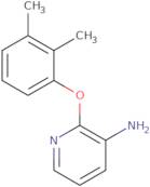 3-Amino-2-(2,3-dimethylphenoxy)pyridine