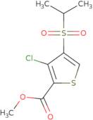 3-Chloro-4-(propane-2-sulfonyl)-thiophene-2-carboxylic acid methyl ester