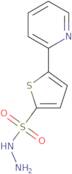 5-(Pyridin-2-yl)thiophene-2-sulphonohydrazide