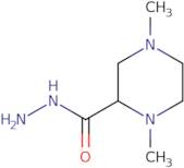 1,4-Dimethylpiperazine-2-carbohydrazide