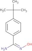 4-(tert-Butyl)-N-hydroxybenzimidamide