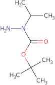 N-(Propan-2-yl)(tert-butoxy)carbohydrazide