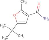 5-tert-Butyl-2-methylfuran-3-carboxamide