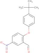 2-[4-(tert-Butyl)phenoxy]-5-nitrobenzaldehyde