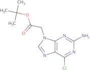 tert-Butyl 2-(2-amino-6-chloro-9H-purin-9-yl)acetate