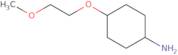 trans-4-(2-Methoxyethoxy)cyclohexanamine ee