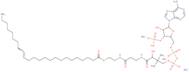 (15Z-Tetracosenoyl) coenzyme A ammonium
