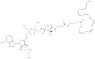 22:6 Coenzyme A