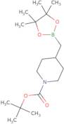 tert-Butyl 4-((4,4,5,5-tetramethyl-1,3,2-dioxaborolan-2-yl)methyl)piperidine-1-carboxylate