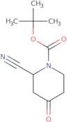 tert-Butyl 2-cyano-4-oxopiperidine-1-carboxylate