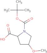 (2R,4R)-1-[(tert-Butoxy)carbonyl]-4-methoxypyrrolidine-2-carboxylic acid