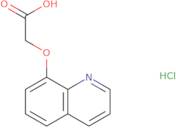 2-(Quinolin-8-yloxy)acetic acid hydrochloride