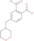 4-(3,4-dinitrobenzyl)morpholine