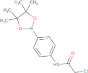 2-chloro-N-[4-(4,4,5,5-tetramethyl-1,3,2-dioxaborolan-2-yl)phenyl]acetamide