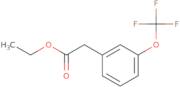 (3-Trifluoromethoxy-phenyl)-acetic acid ethyl ester