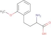 2-Amino-4-(2-methoxyphenyl)butanoic acid