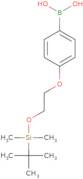 4-{2-[(tert-Butyldimethylsilyl)oxy]ethoxy}phenylboronic acid