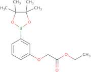 3-(2-Ethoxy-2-oxoethoxy)phenylboronic acid pinacol ester