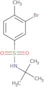 N-tert-Butyl 3-bromo-4-methylbenzenesulfonamide