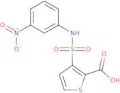 3-[(3-Nitrophenyl)sulfamoyl]thiophene-2-carboxylic acid