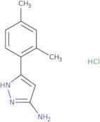 5-(2,4-Dimethyl-phenyl)-2H-pyrazol-3-ylaminehydrochloride