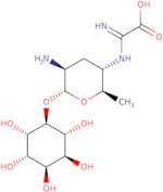 Kasugamycin