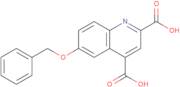 6-(benzyloxy)quinoline-2,4-dicarboxylic acid